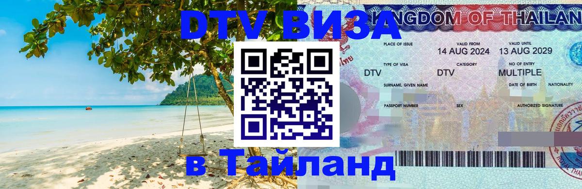 Сколько стоит DTV виза — актуальные цены, оформление даже без документов - Тирана  20.11.2025 